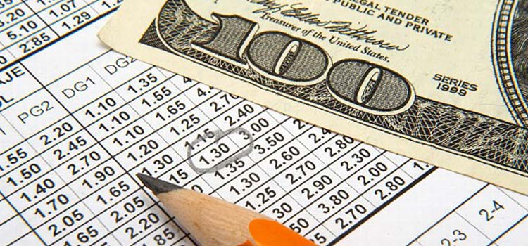 Sports Betting Basics For Beginners